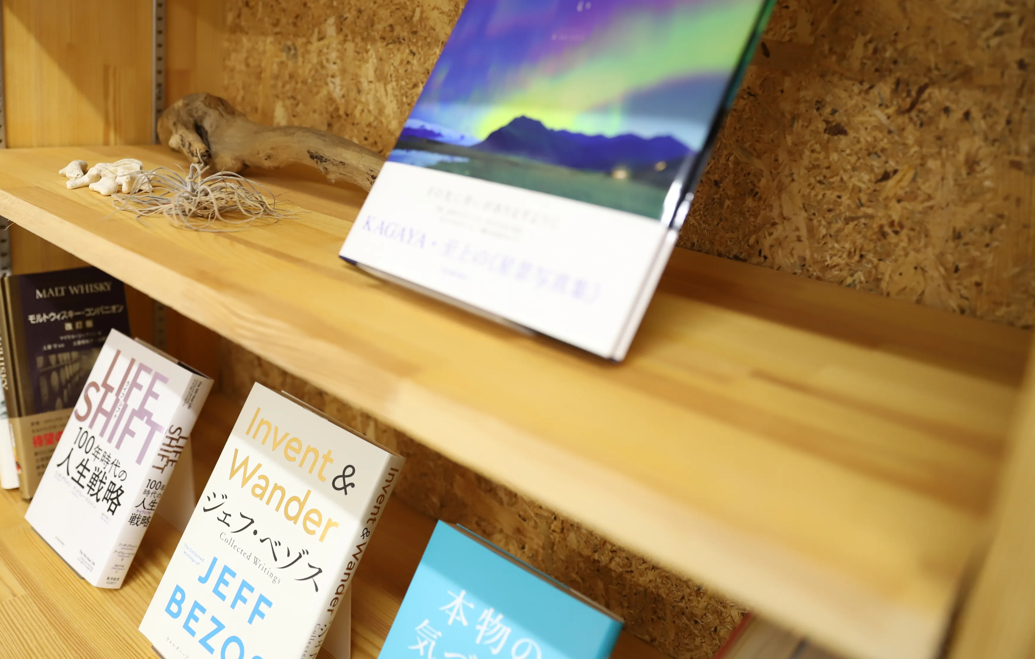 石橋 海渡のギャラリー写真 2