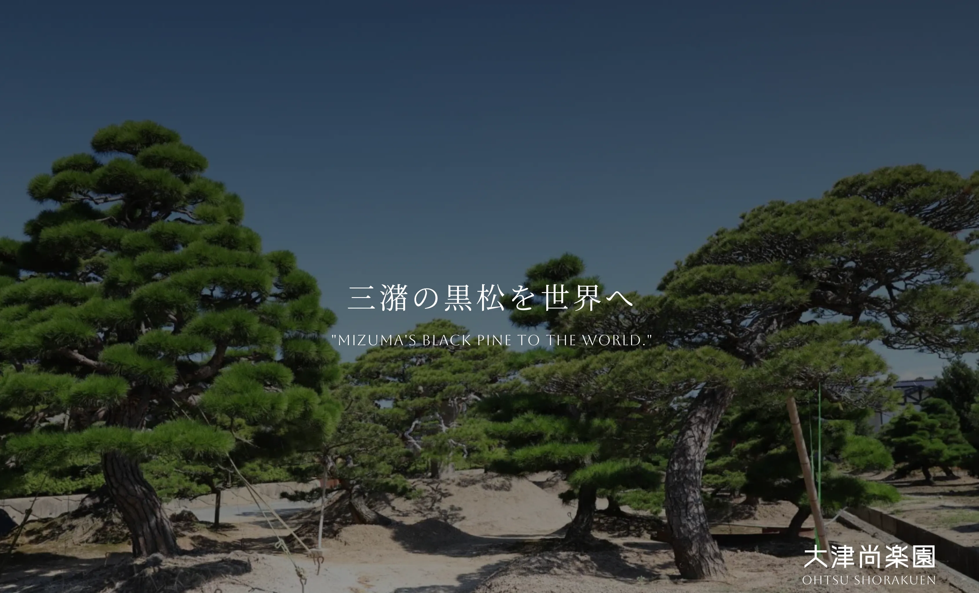 ポータルサイト制作実績